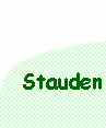 Stauden